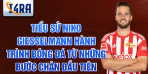 Tiểu sử niko giesselmann hành trình bóng đá từ những bước chân đầu tiên