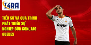 Tiểu sử và quá trình phát triển sự nghiệp của gonçalo guedes