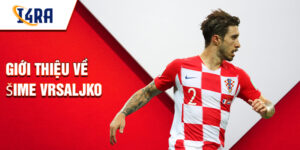 Giới thiệu về šime vrsaljko