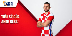 Tiểu sử của ante rebić