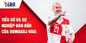 Tiểu sử và sự nghiệp ban đầu của domagoj vida
